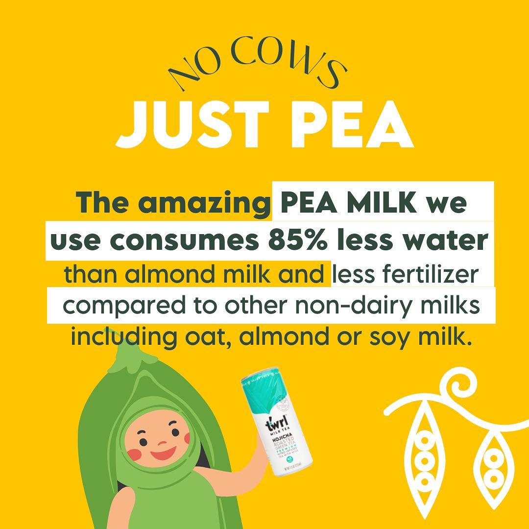 Sustainable plant-based Twrl Milk Tea pea milk